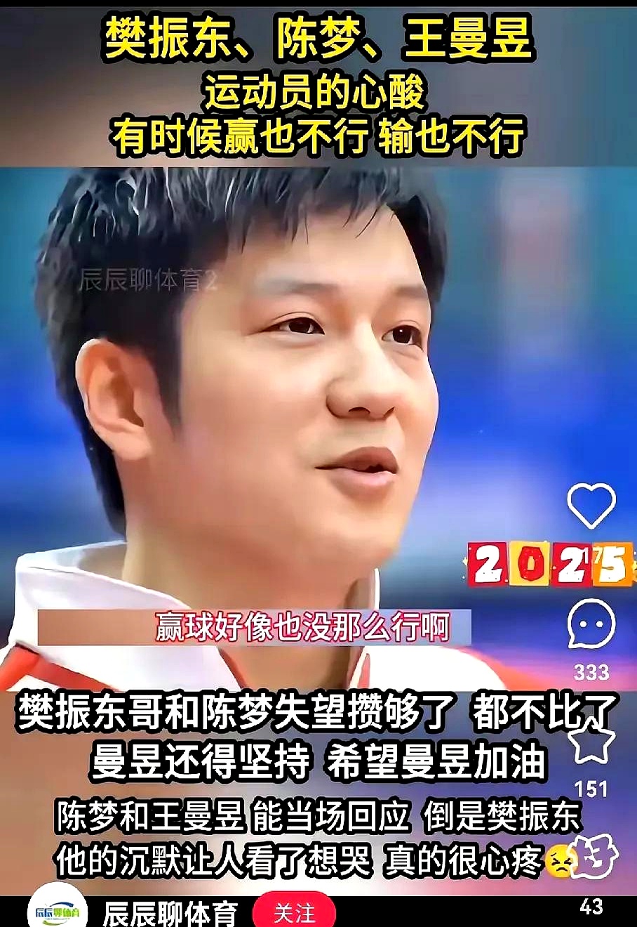 德国队完胜中国队,樊振东统治全场 德国队完胜中国队,樊振东统治全场