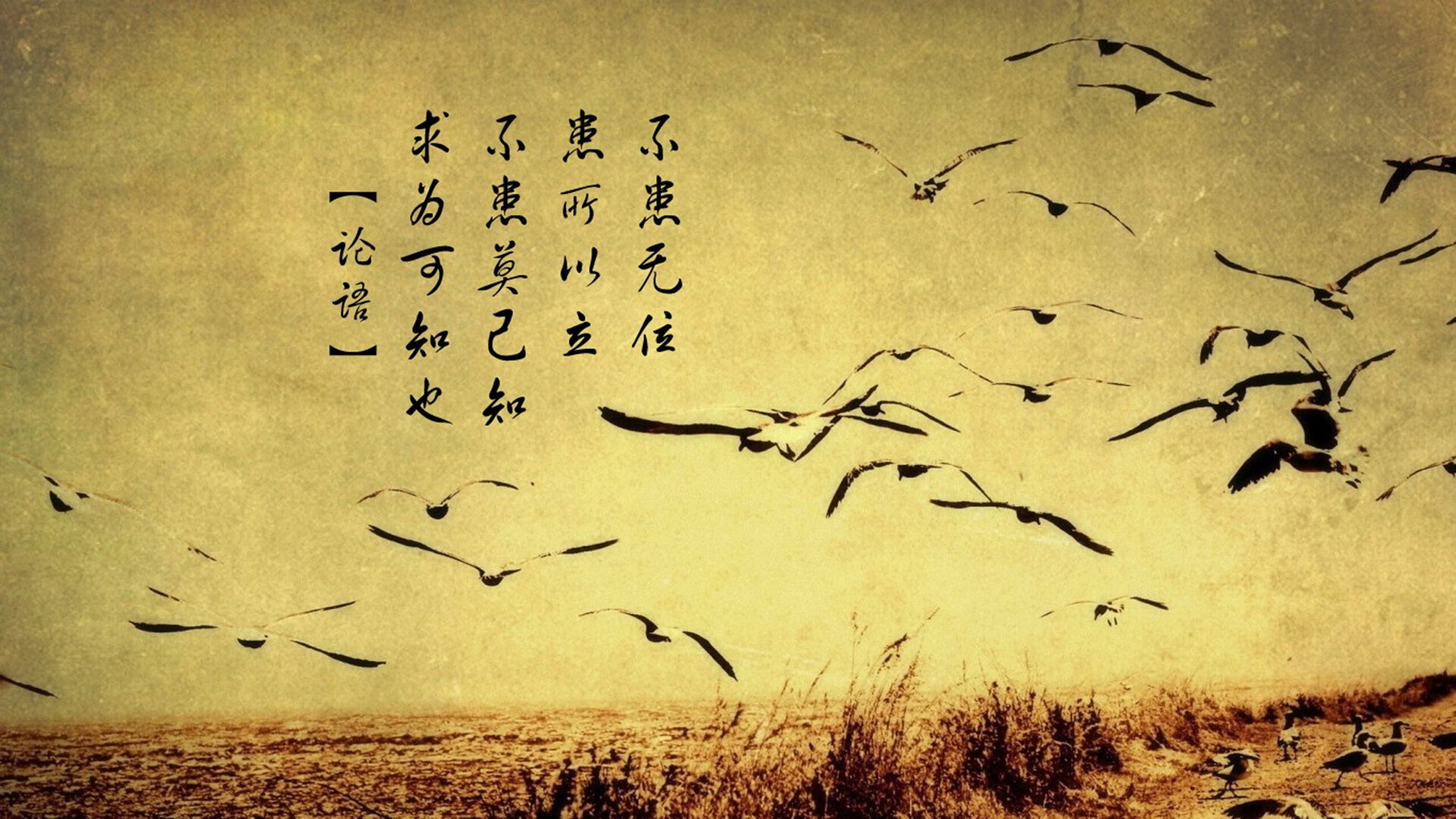 悍将法比尼奥,用无解表现撕碎哥伦比亚防线的塞内加尔守护神