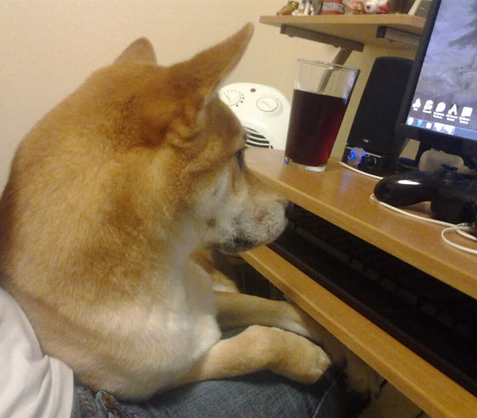 绝境重生,2026篮球世界杯之夜,莫兰特末节封神记