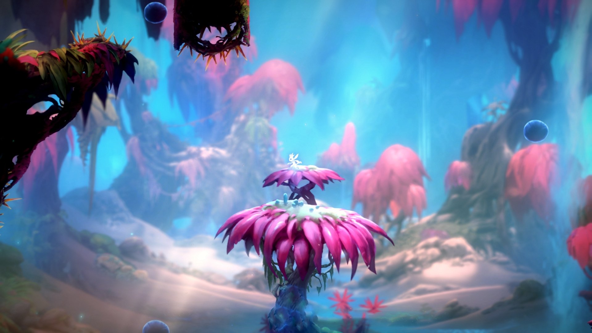 -冰与火之歌，德甲争冠白热化与CBA吉林爆冷双线交响