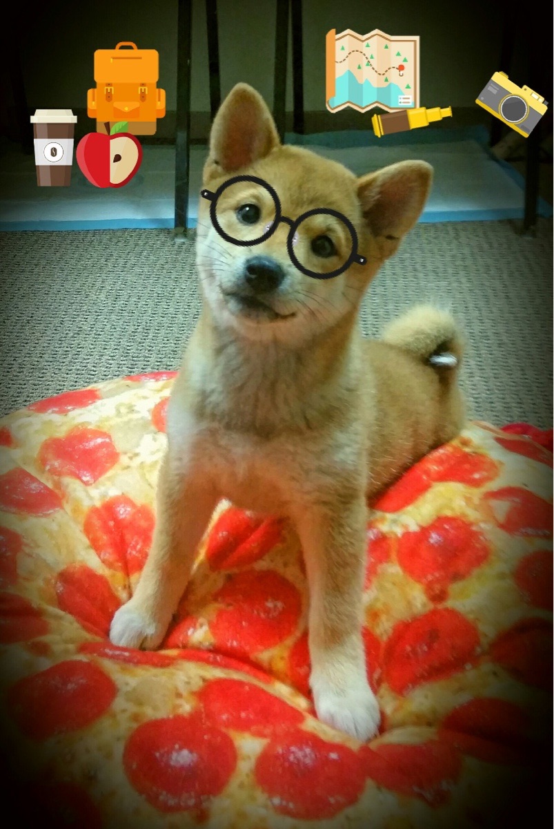 王冠上的独奏者，巴尔韦德大场面先生之夜