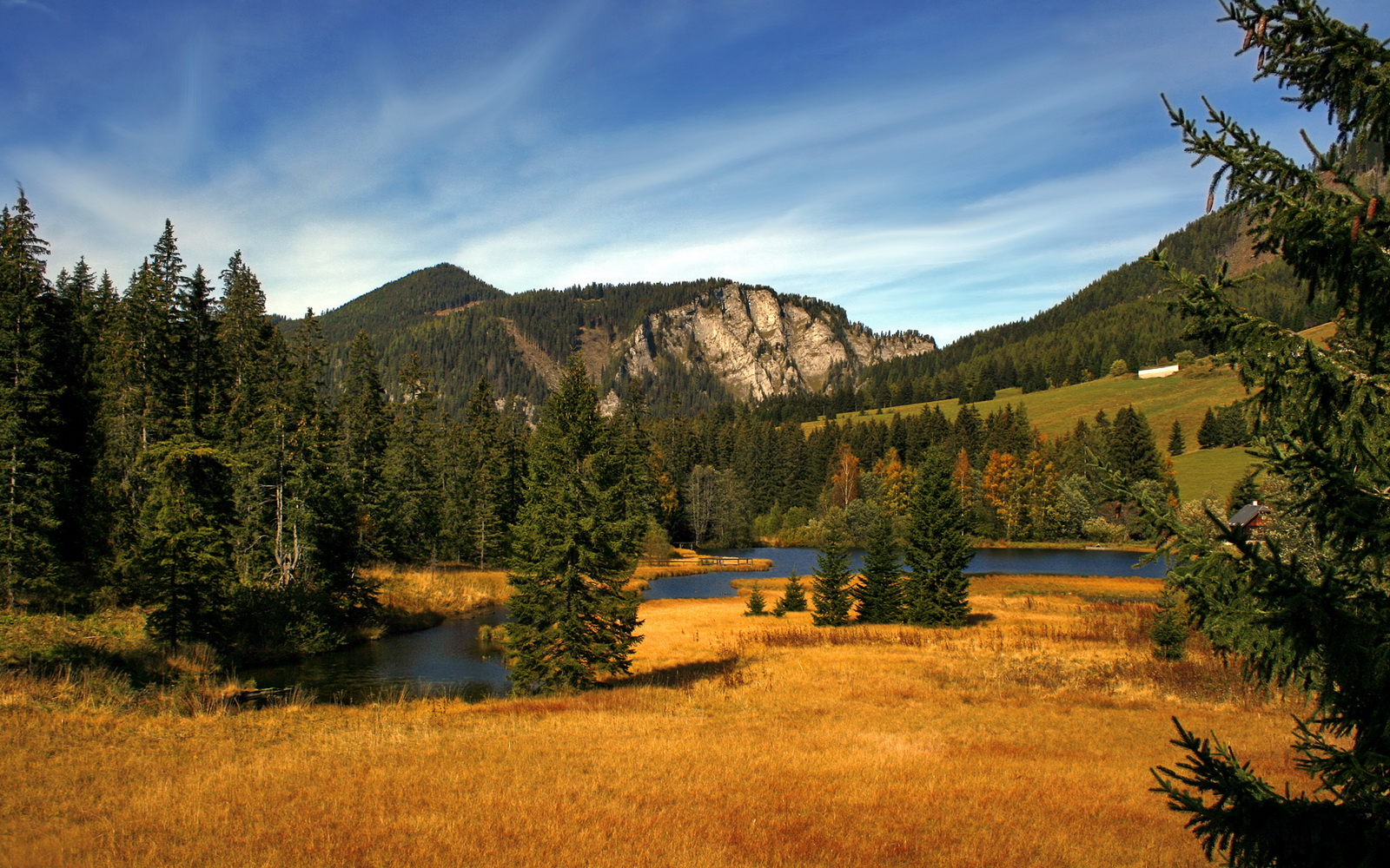 最后的高墙，库尔图瓦如何将皇马的叹息化为震天欢呼