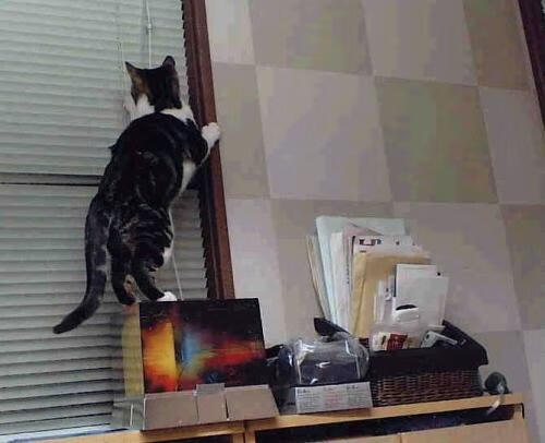 绝境狂舞，奥纳纳擎起不屈蓝白，阿根廷惊天逆转土耳其